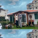 이호애