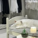 수원-0619 이미지