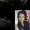 고라니 혹은 사슴 Daum카페