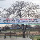 서산 해미천 충남일보