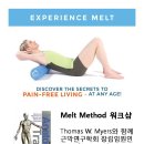 멜트(Melt)