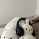 애시드커피