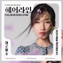 새로이헤어