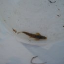 영환농장 이미지