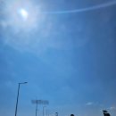 신안새마을경로당 | 신안) 옐로우의 섬(신안군 팔금면 원산리 111-7, 장목마을), 아직 뜨지 않은 곳!