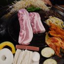 고기;굽찌 티스토리