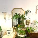 리엔하우스 이미지