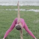 빈야사 & 전신 요가 이미지