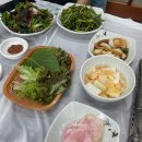 가야생오리 이미지