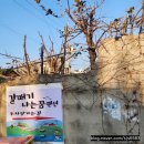 갈매기 나는꿈 펜션 | (고성/여행) 아야진 해수욕장 오션뷰 펜션 "고성 갈매기나는꿈" (Feat. 스파 뷰 맛집)