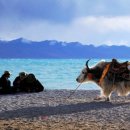 영기목장 이미지