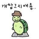 아크리스동물의료센터 이미지