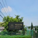 정원수 | 일산 식사동 꽃집 유럽정원수 가든트리팜 백합 구매 후기