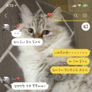 제주온동물병원 이미지