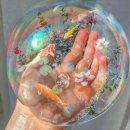 진짜개맛집 이미지