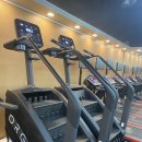Mr.k-GYM | 수내역헬스장 기초부터 탄탄하게, 미스터케이짐에서!