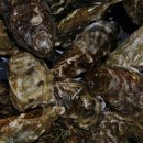 바다한의원 이미지