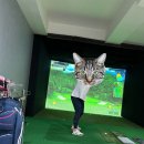 신당스크린골프 이미지