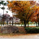 율하체육공원 축구장 이미지