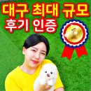 대실역남로4길 이미지