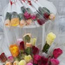 인후초등학교병설유치원 이미지