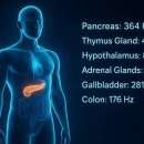 트러스트 메드(Trust Med) | 인텔