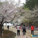 대천4동 주민센터 이미지