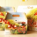 늘밤농원 이미지