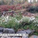 아르떼 공인중개사사무소 이미지