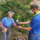 광시면행정복지센터 이미지