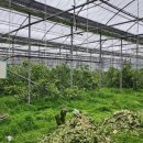 남진농장 이미지