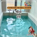 영월 감성숙소 벨라 독채풀빌라 | 영월 신상 독채펜션 벨라 강원도 풀빌라 영월 아이랑 가볼만한 곳