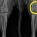 24시 명동물메디컬센터 이미지