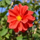 부산농원민박 이미지