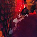 카네기7080 이미지