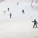 양지파인리조트 이미지