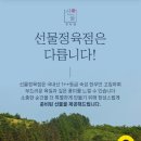 사랑애 선물 이미지