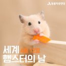 오독오독 - 익산시 익산대로26길 27 | 오독오독