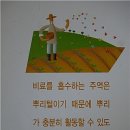 작물 생육의 영양원 거름--텃밭가꾸기 이미지