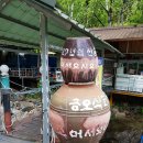 금오식당민박 이미지