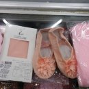 새들무용복