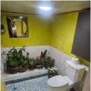 원하우스 이미지