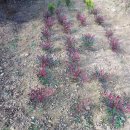 우리농장2 이미지