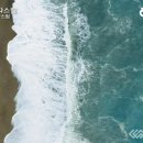 대전광역치매센터 이미지