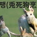 작은 불꽃 이미지