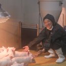 사양농장 이미지