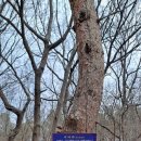 스테이 산위 이미지