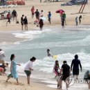 해운대해수욕장 이미지