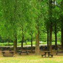 해피로드2 이미지