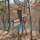 세림목장 이미지